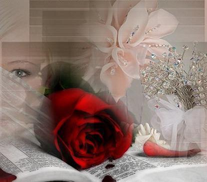 sereira Apenas t&uacute;