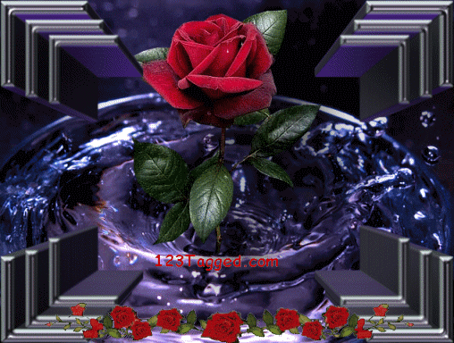 Tu sangre es un r&iacute;o